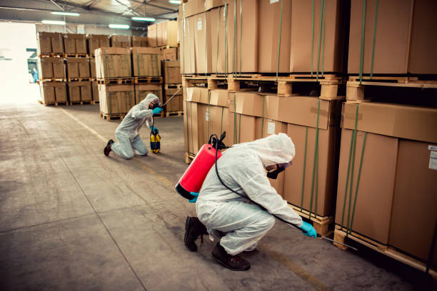 Best Affordable Pest Control Services  in South Uniontown, PA