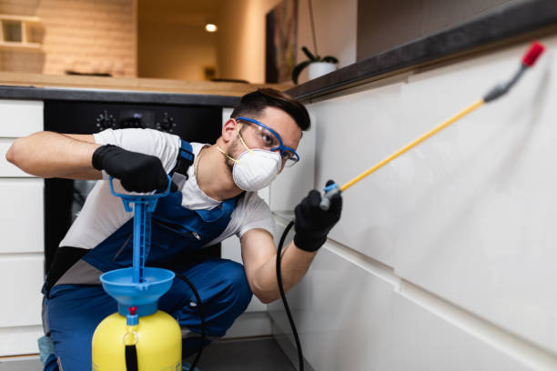 Best Cockroach Control Services  in South Uniontown, PA