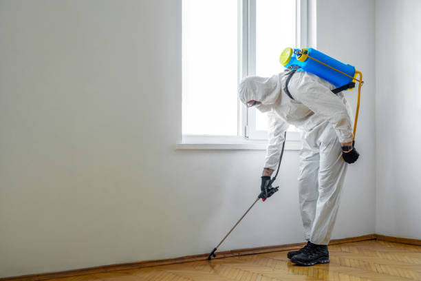 Best Flea Control Services  in South Uniontown, PA