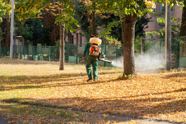 Best Best Pest Control Companies  in South Uniontown, PA