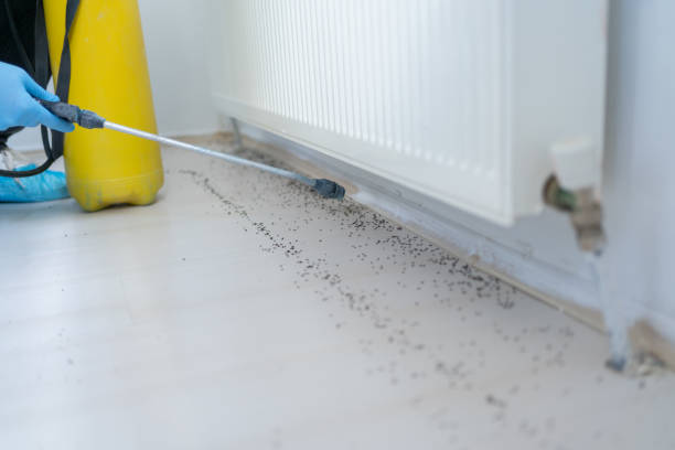 Pest Prevention Services in South Uniontown, PA