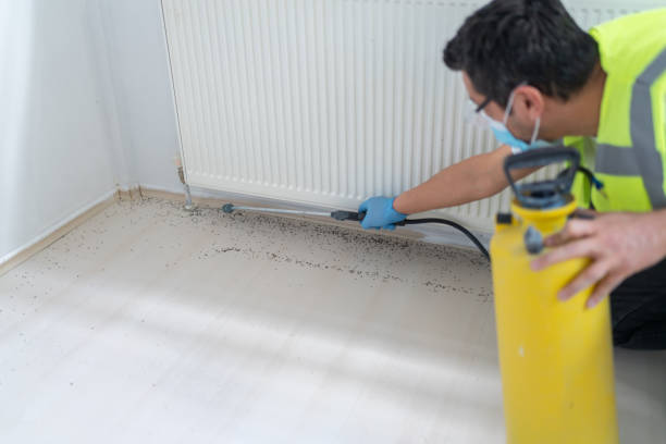 Best Pest Control for Businesses  in South Uniontown, PA
