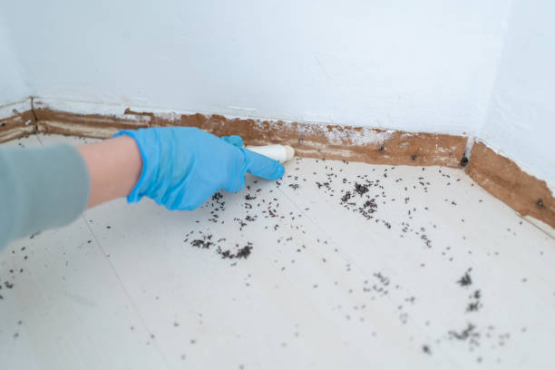 Best Pest Removal Services  in South Uniontown, PA