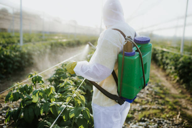 Best Best Pest Control Companies  in South Uniontown, PA